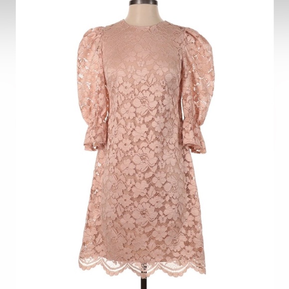 Vince Camuto blush lace puff sleeve dress Size 2 - Picture 2 of 6